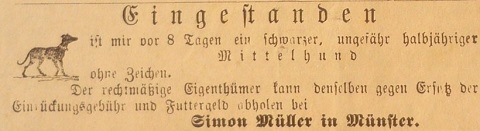 Das Bild kann leider nicht angezeigt werden.