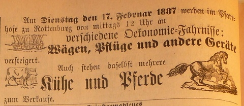 Das Bild kann leider nicht angezeigt werden.
