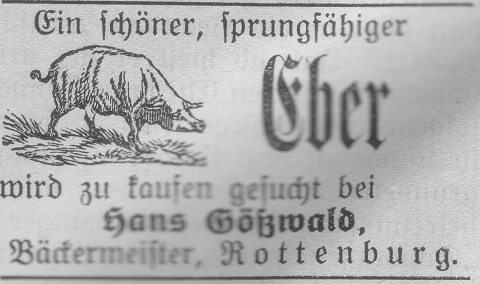 Das Bild 
kann leider nicht angezeigt werden.