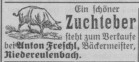 Das Bild 
kann leider nicht angezeigt werden.