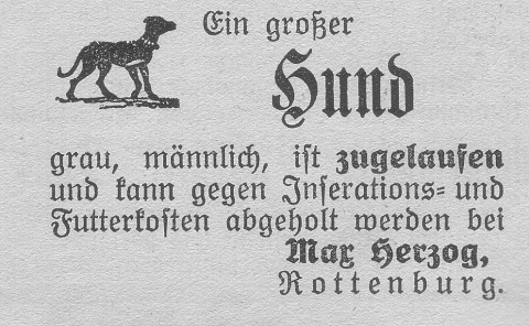 Das Bild 
kann leider nicht angezeigt werden.