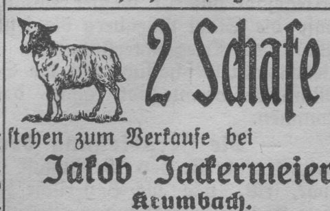 Das Bild 
kann leider nicht angezeigt werden.