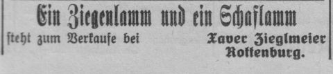 Das Bild 
kann leider nicht angezeigt werden.