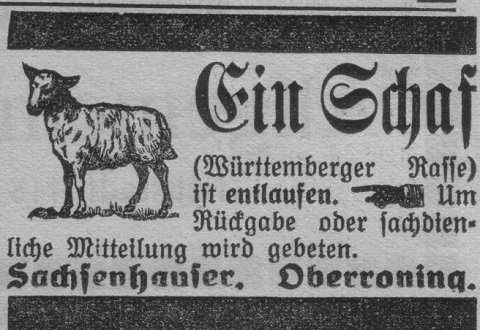 Das Bild 
kann leider nicht angezeigt werden.