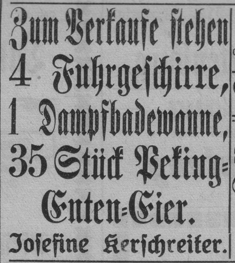 Das Bild 
kann leider nicht angezeigt werden.