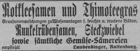 Das Bild 
kann leider nicht angezeigt werden.