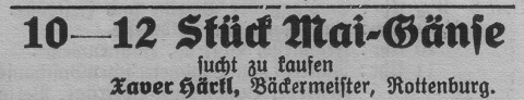 Das Bild 
kann leider nicht angezeigt werden.