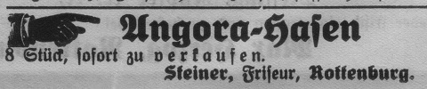 Das Bild 
kann leider nicht angezeigt werden.