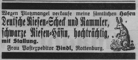 Das Bild 
kann leider nicht angezeigt werden.