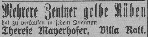 Das Bild 
kann leider nicht angezeigt werden.