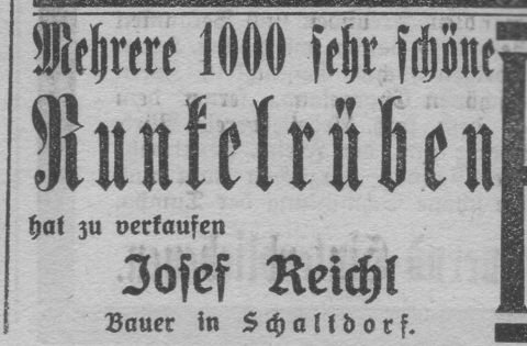 Das Bild 
kann leider nicht angezeigt werden.