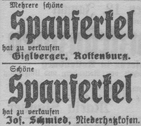 Das Bild 
kann leider nicht angezeigt werden.