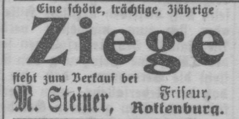 Das Bild 
kann leider nicht angezeigt werden.