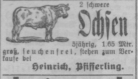 Das Bild 
kann leider nicht angezeigt werden.