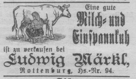 Das Bild 
kann leider nicht angezeigt werden.
