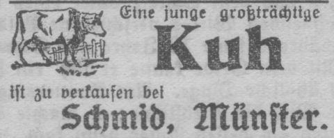 Das Bild 
kann leider nicht angezeigt werden.