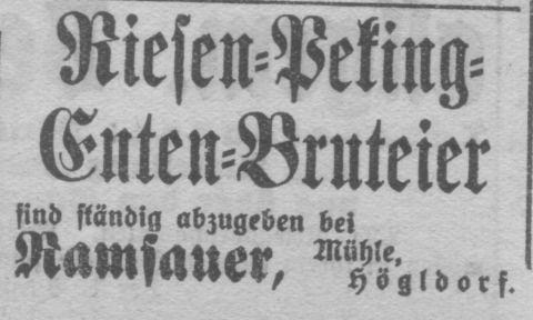 Das Bild 
kann leider nicht angezeigt werden.