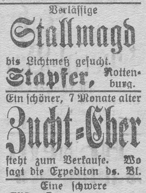 Das Bild 
kann leider nicht angezeigt werden.