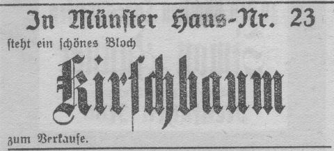 Das Bild 
kann leider nicht angezeigt werden.