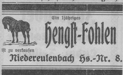 Das Bild 
kann leider nicht angezeigt werden.