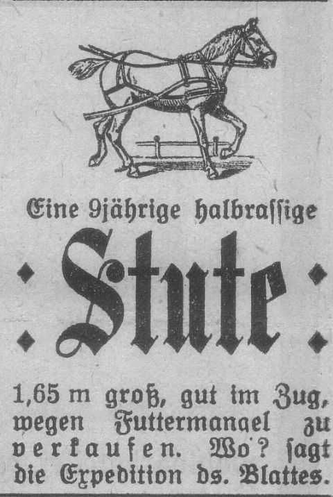 Das Bild 
kann leider nicht angezeigt werden.