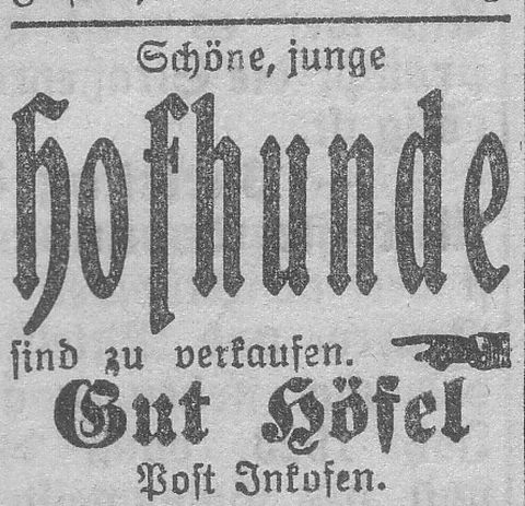 Das Bild 
kann leider nicht angezeigt werden.