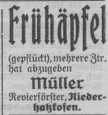 Das Bild 
kann leider nicht angezeigt werden.