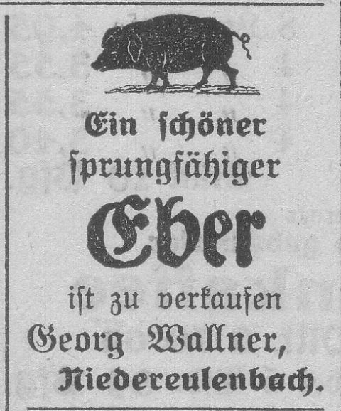 Das Bild 
kann leider nicht angezeigt werden.