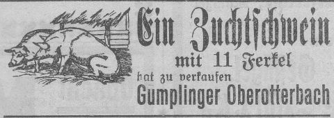 Das Bild 
kann leider nicht angezeigt werden.