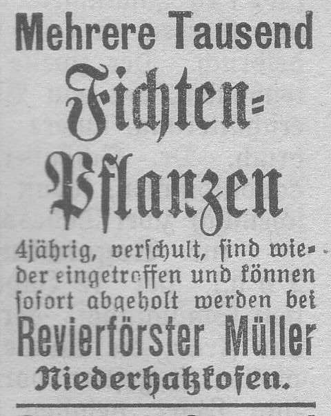 Das Bild 
kann leider nicht angezeigt werden.