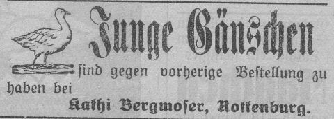 Das Bild 
kann leider nicht angezeigt werden.