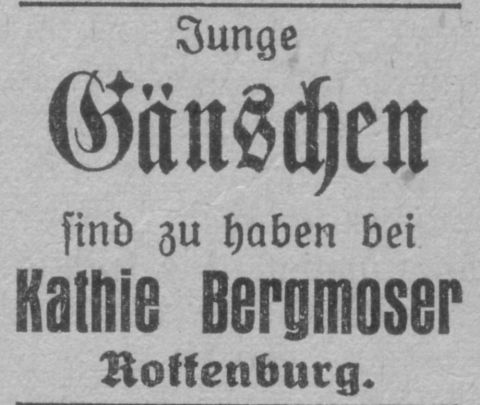 Das Bild 
kann leider nicht angezeigt werden.