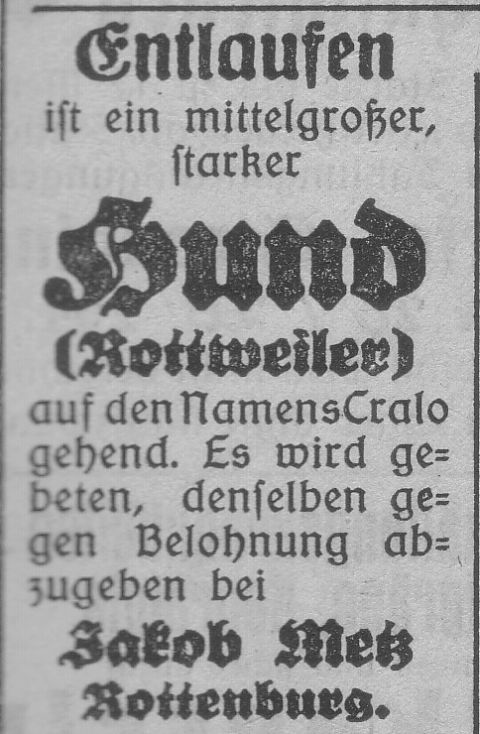 Das Bild 
kann leider nicht angezeigt werden.