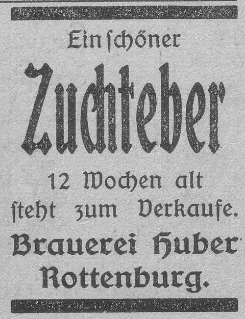 Das Bild 
kann leider nicht angezeigt werden.
