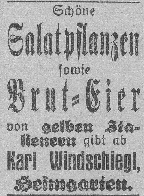 Das Bild 
kann leider nicht angezeigt werden.