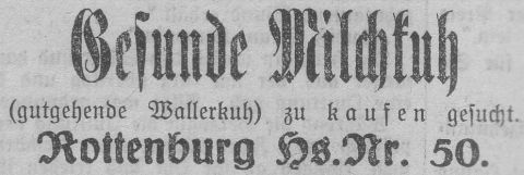 Das Bild 
kann leider nicht angezeigt werden.