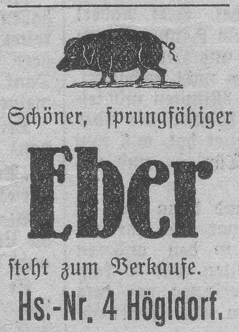 Das Bild 
kann leider nicht angezeigt werden.