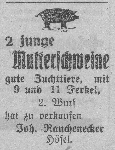 Das Bild 
kann leider nicht angezeigt werden.