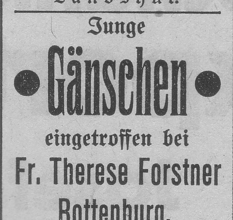 Das Bild 
kann leider nicht angezeigt werden.