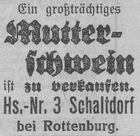 Das Bild 
kann leider nicht angezeigt werden.