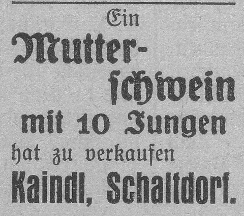 Das Bild 
kann leider nicht angezeigt werden.