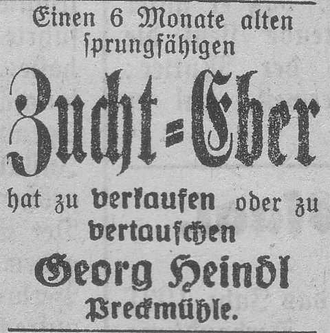 Das Bild 
kann leider nicht angezeigt werden.