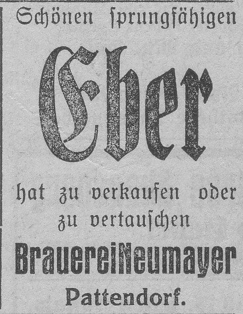 Das Bild 
kann leider nicht angezeigt werden.