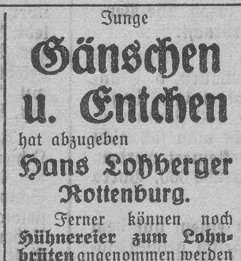 Das Bild 
kann leider nicht angezeigt werden.