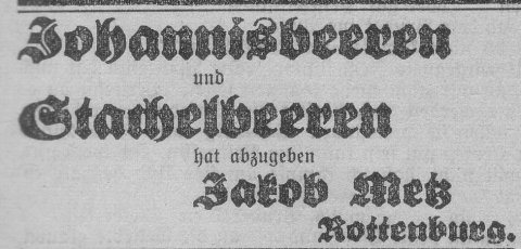 Das Bild 
kann leider nicht angezeigt werden.