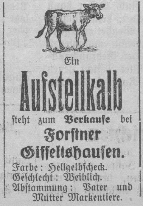 Das Bild 
kann leider nicht angezeigt werden.