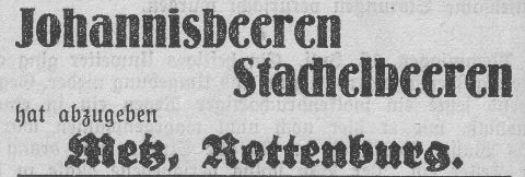 Das Bild 
kann leider nicht angezeigt werden.