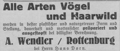 Das Bild 
kann leider nicht angezeigt werden.