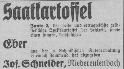 Das Bild 
kann leider nicht angezeigt werden.