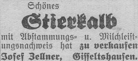 Das Bild 
kann leider nicht angezeigt werden.